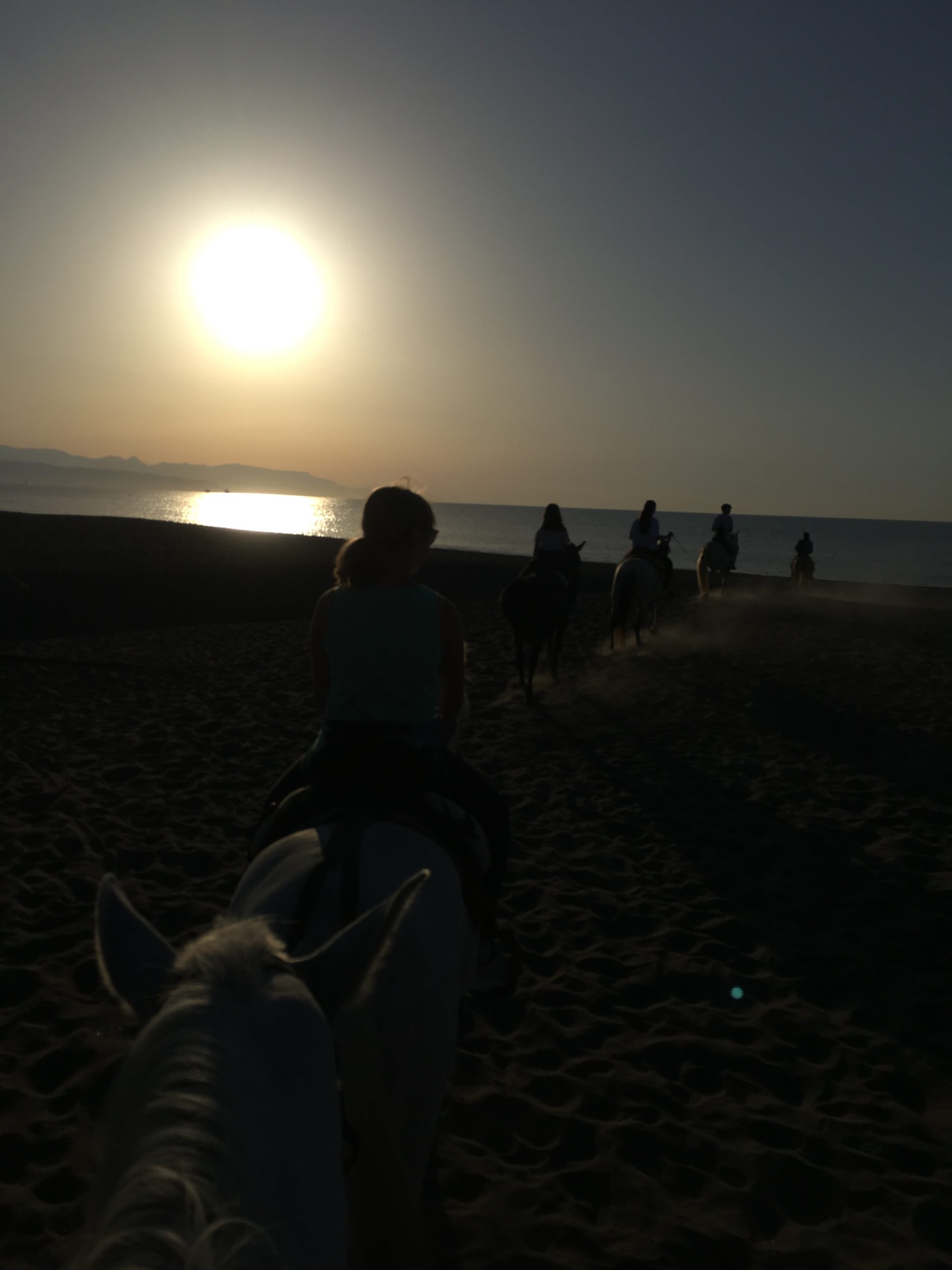 Paseo a caballo por la playa en torremolinos