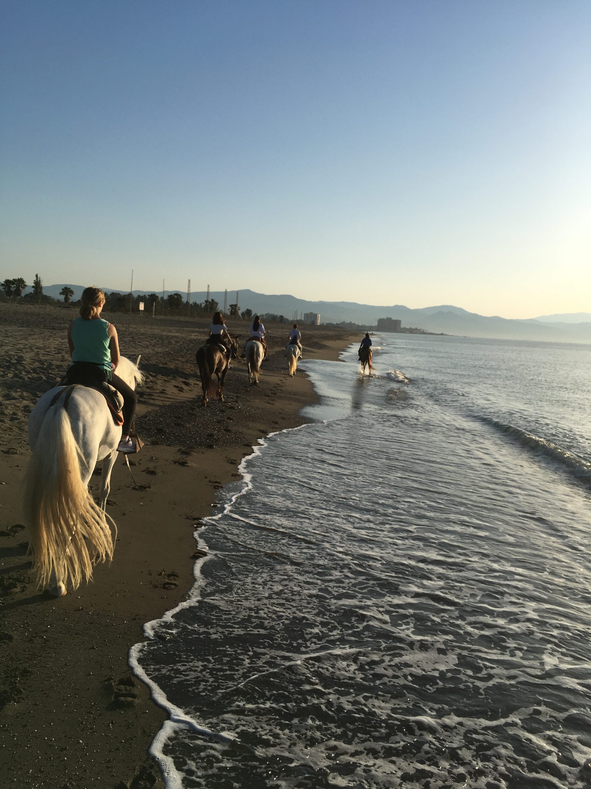 horse tracks on the beach torremolinos
