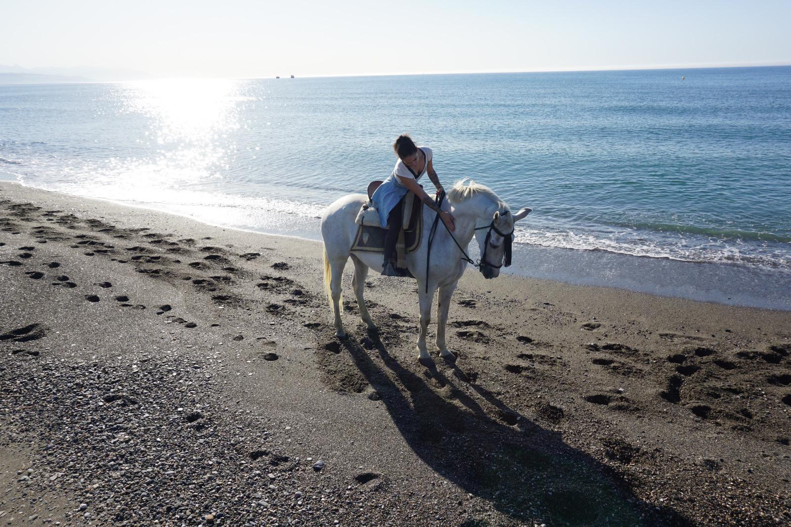 horseback riding on the beach torremolinos malaga