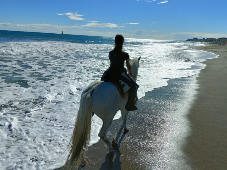 Rutas a caballo en la playa torremolinos malaga