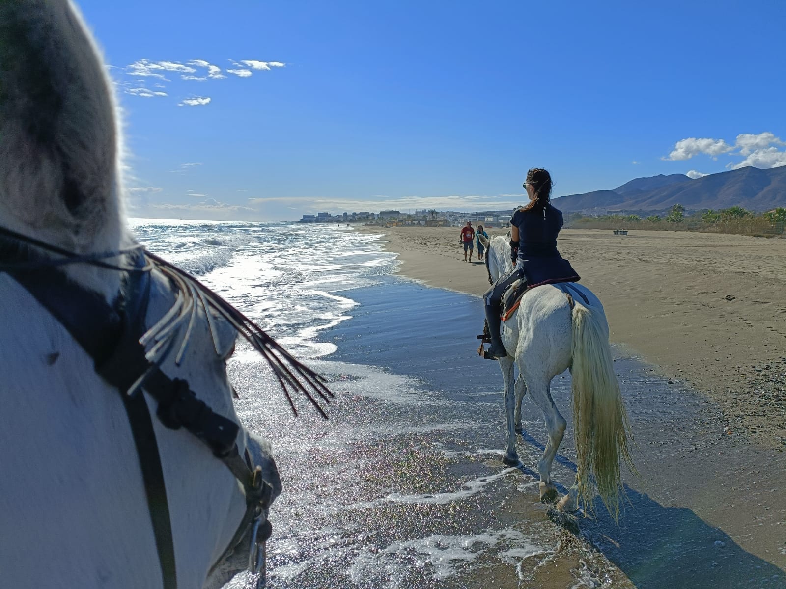 horse rides on the beach torremolinos malaga