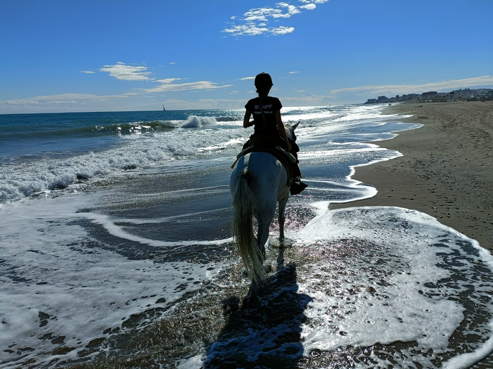Rutas a caballo en la playa torremolinos malaga