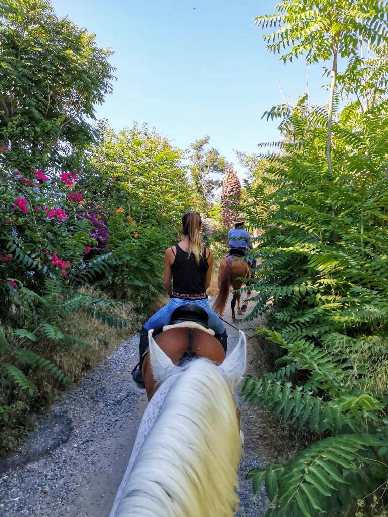 Paseo a caballo por el campo torremolinos malaga