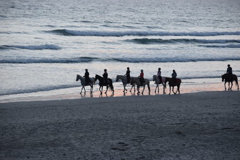 Paseo caballo playa malaga torremolinos