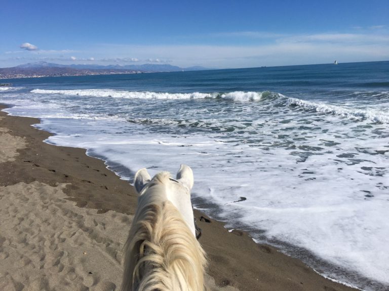 Montar a caballo por la playa malaga torremolinos