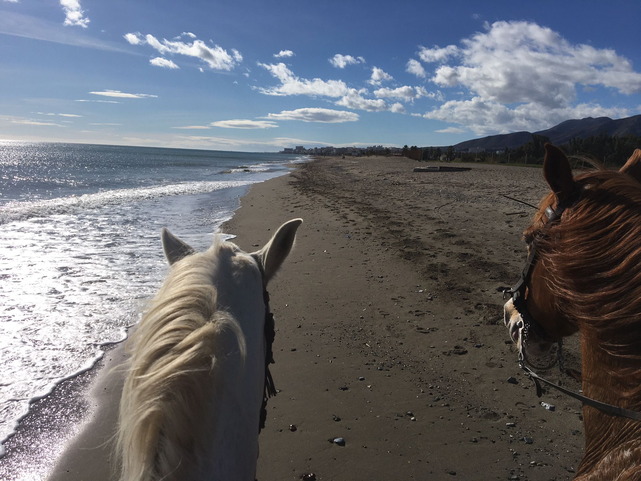 riding horses on the beach malaga torremolinos