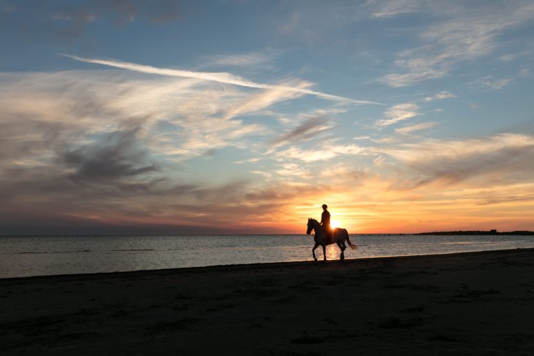 Paseos caballo playa malaga torremolinos