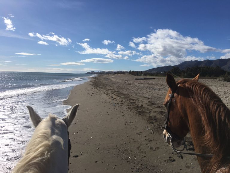 Pasear a caballo por la playa malaga torremolinos