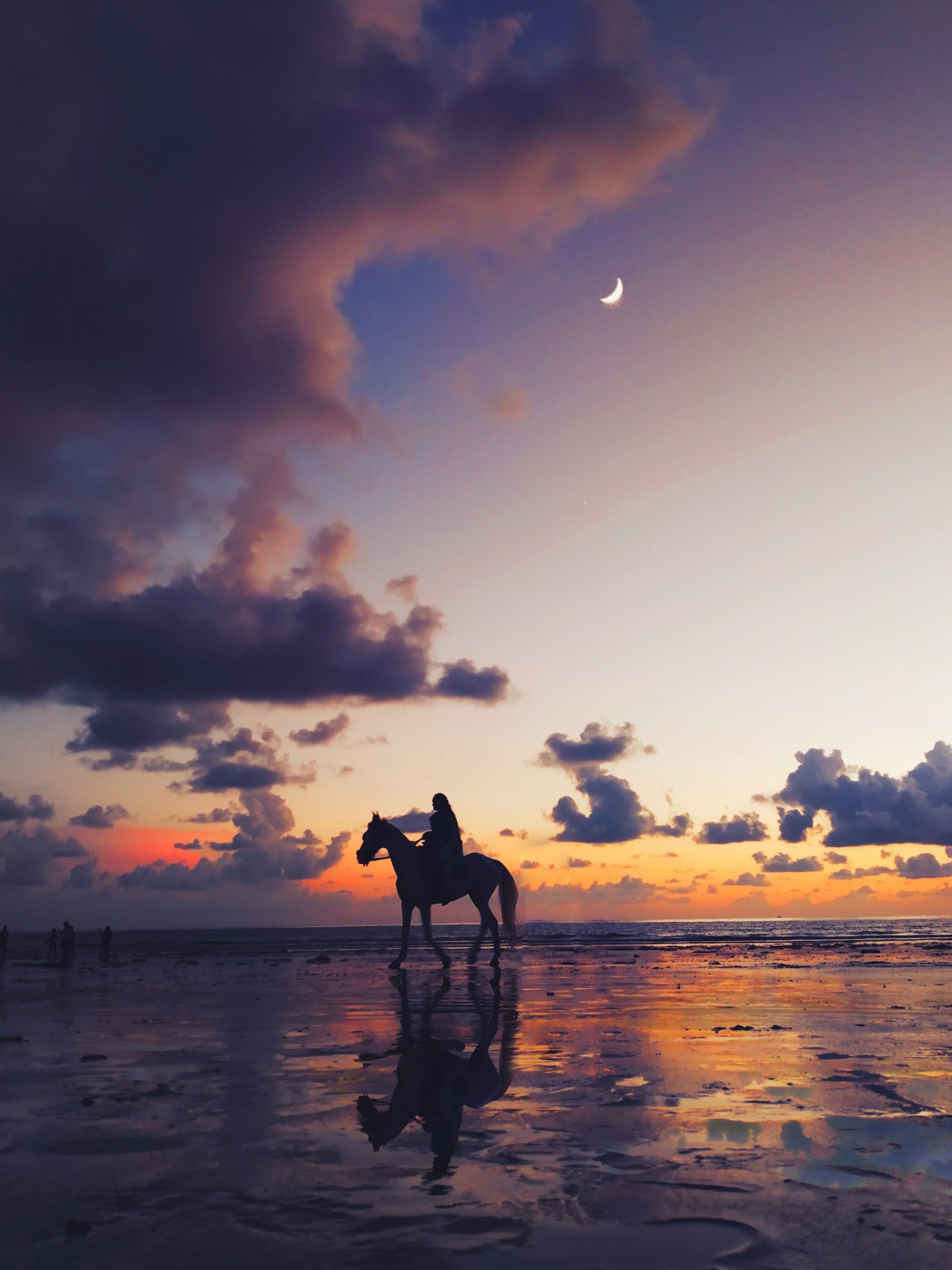 ride a horse on the beach costa del sol