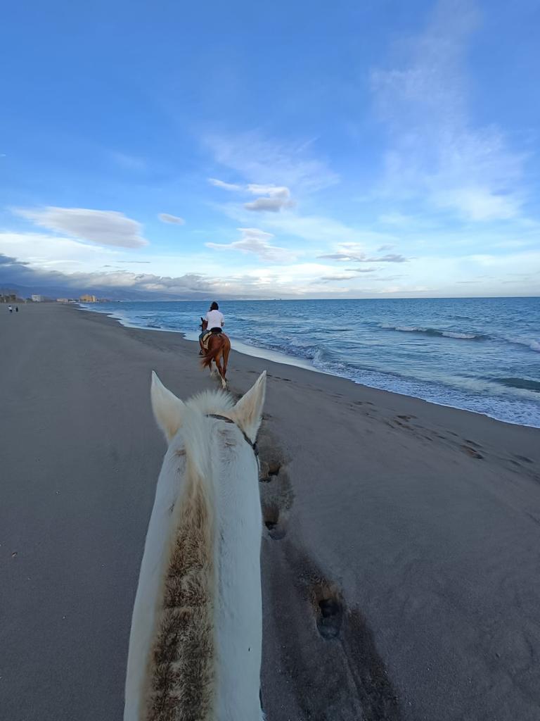 ruta a caballo por la playa costa del sol malaga