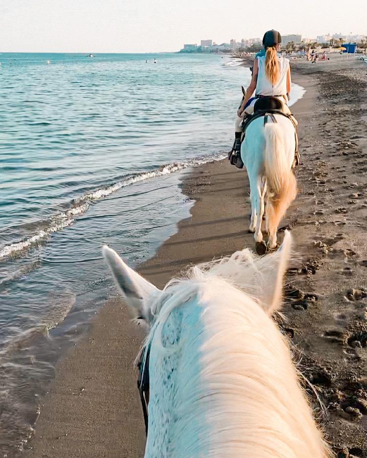 horse rides costa del sol torremolinos malaga