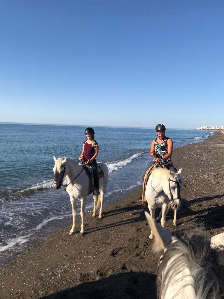 horse rides on the beach costa del sol torremolinos