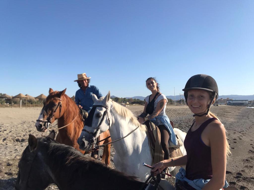 horse ride on the beach costa del sol torremolinos