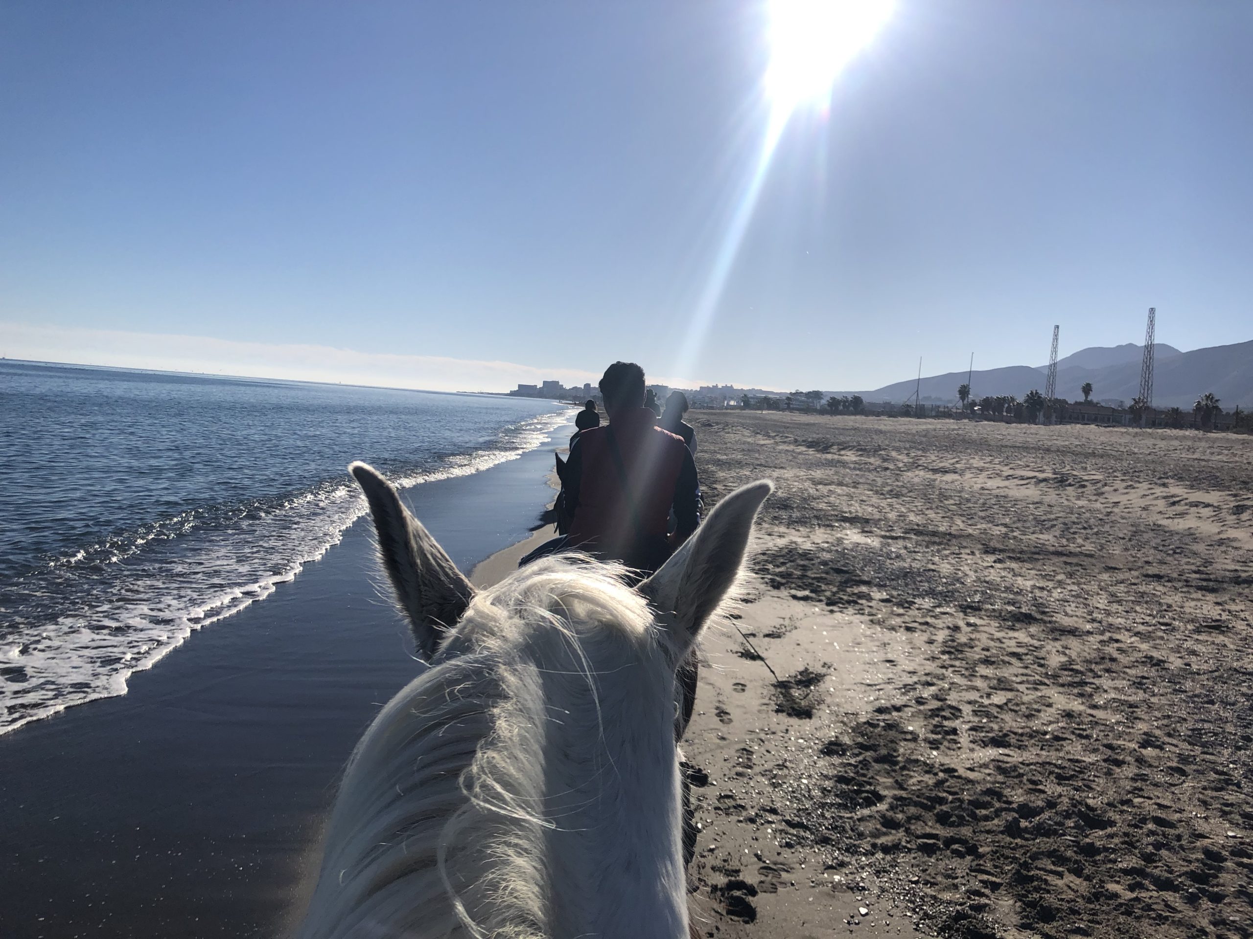 horse riding on the beach andalucia