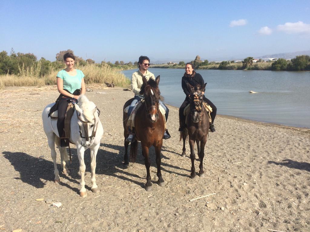 horse riding nature and beach costa del sol