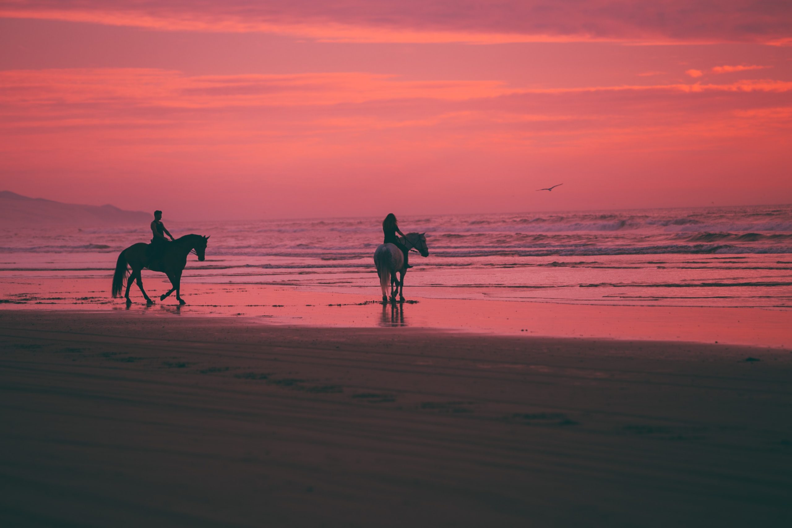 ride a horse costa del sol
