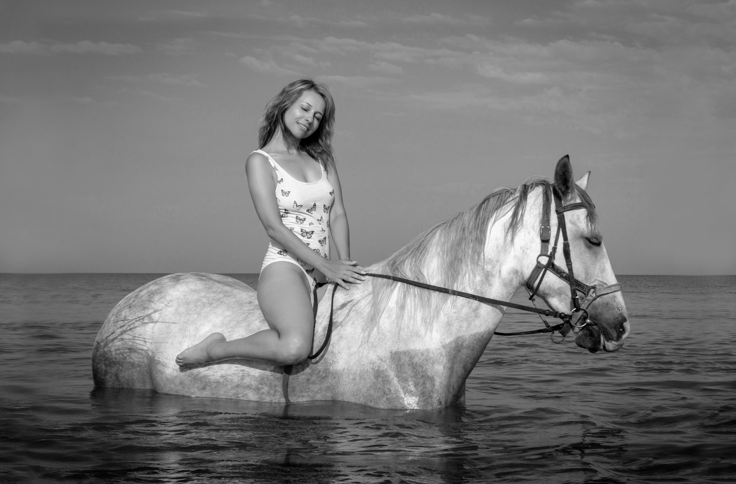 photo shoot with horse malaga