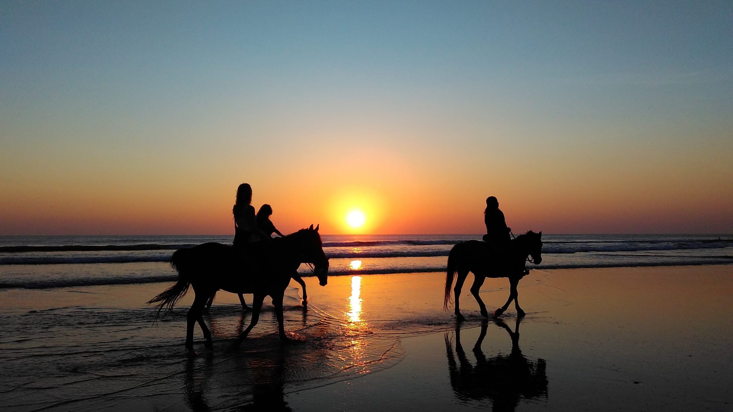 ride horse on the beach torremolinos malaga