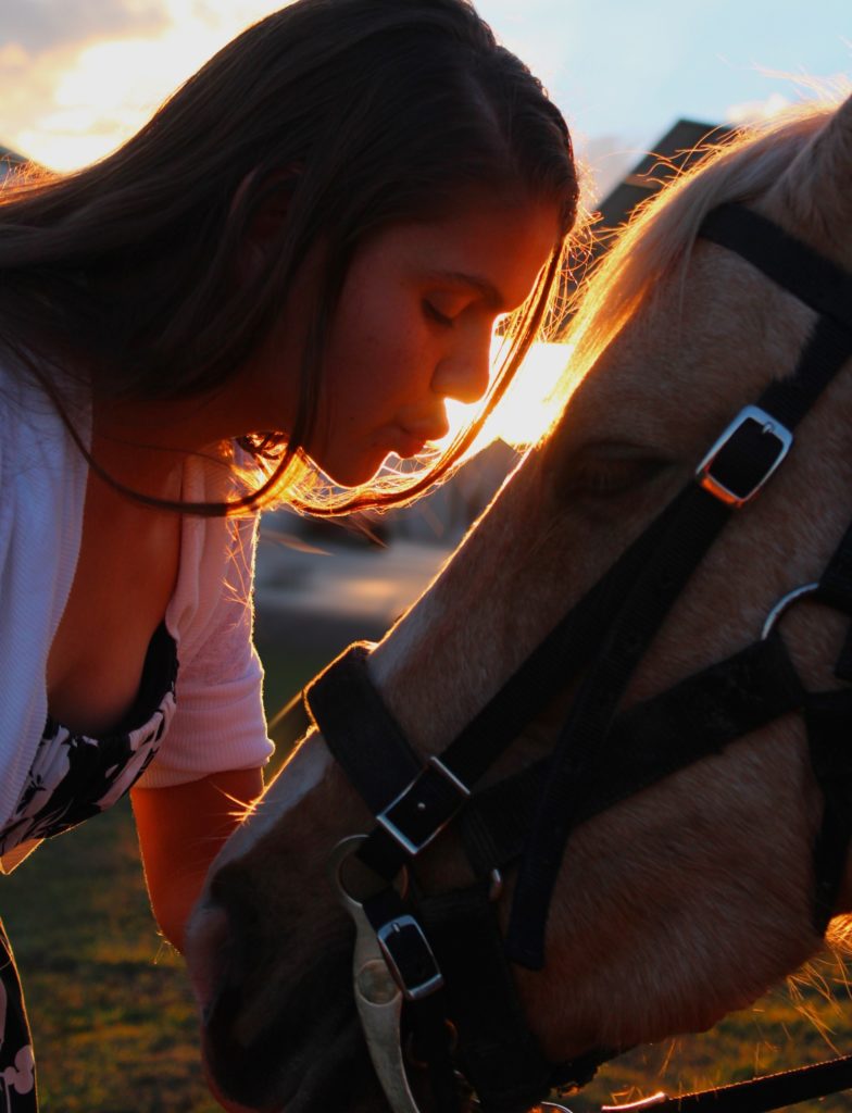 terapia caballos malaga torremolinos