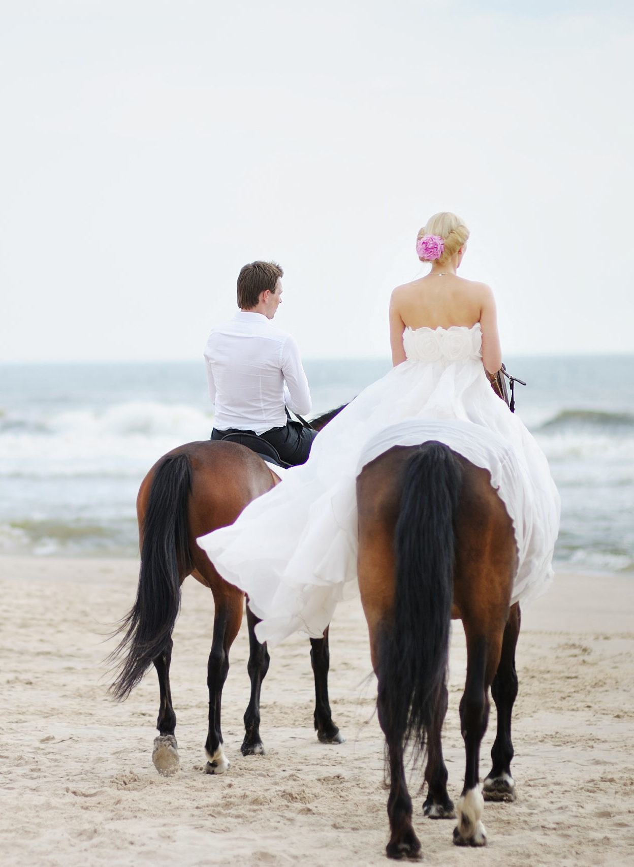Beach wedding: bride and groom on a horses by the sea malaga