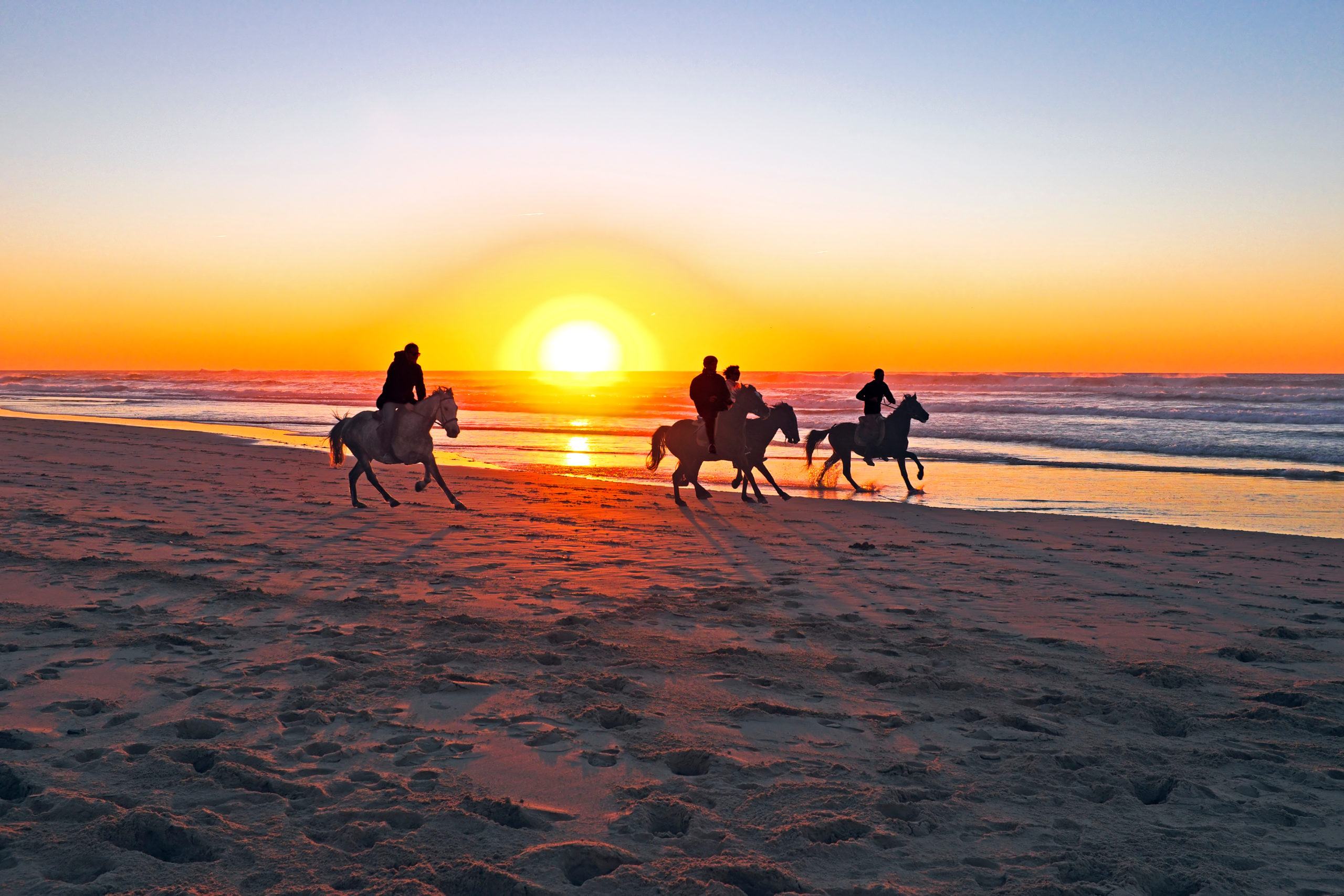 Horse riding on the beach at sunrise malaga