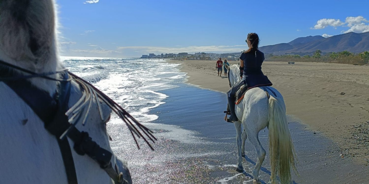 Rutas a caballo por la playa